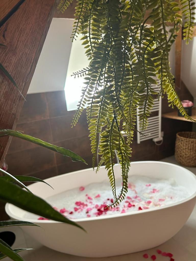 Le Laurencin Sens - Le Duplex - Coeur De Ville Dış mekan fotoğraf